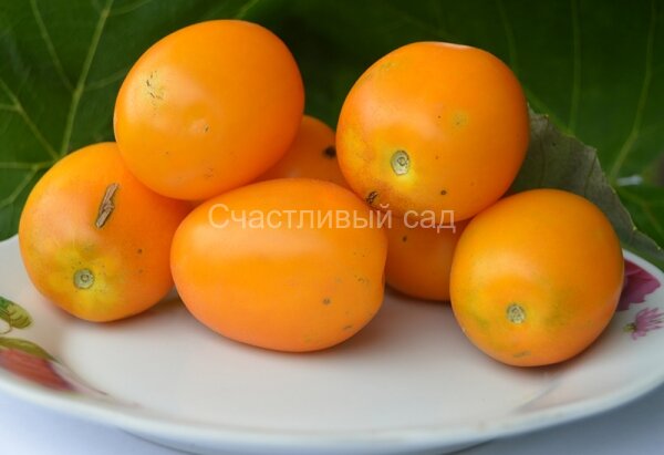 Сердце дракона желтое