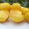 Dwarf Lemon Ice (Гном Лимонный Лед)