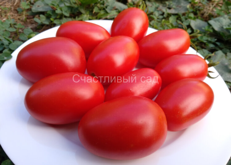 Юнкер