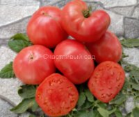 Розовый сахарный