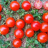 Red Bullet (Красная пуля)