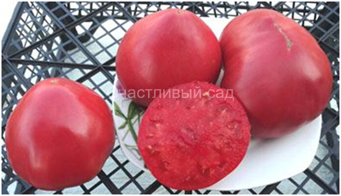 Amana Pink (Амана Розовый)
