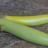 Баклажан Louisiana long green (Луизианский длинный зеленый)