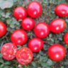 Riesentraube (Гигантская гроздь)