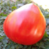 Cuore Antico di Pianfei (Древнее сердце Пианфей)