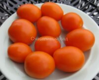 Сербская медовина Солнце 