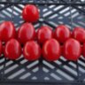 Tomatoberry (Клубничка)