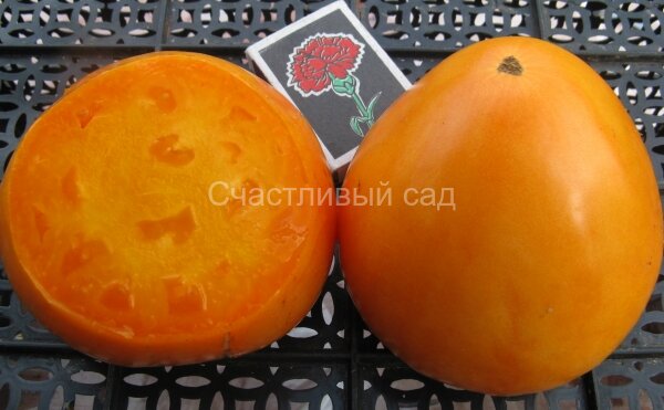 Сердце Ашхабада