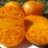 Orange Jazz (Оранжевый джаз) Orange Jazz (Оранжевый джаз)
