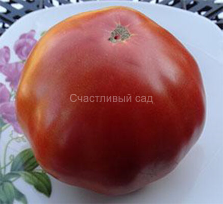 Demit de Rosoy (Демит де Росой) Demit de Rosoy (Демит де Росой)