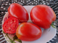 Бочковой засол