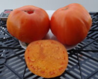 Orange Strawberry - 2 (Оранжевая клубника - 2)