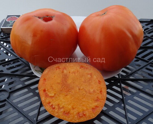 Orange Strawberry - 2 (Оранжевая клубника - 2)