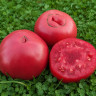 Sweetie Beefsteak (Сладчайший Бифштекс)