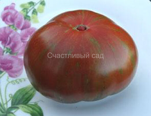 Hershey boar (Кабан Херши)