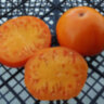 Strawberry German Yellow (Земляника немецкая желтая)