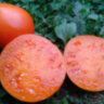 Strawberry German Yellow (Земляника немецкая желтая)