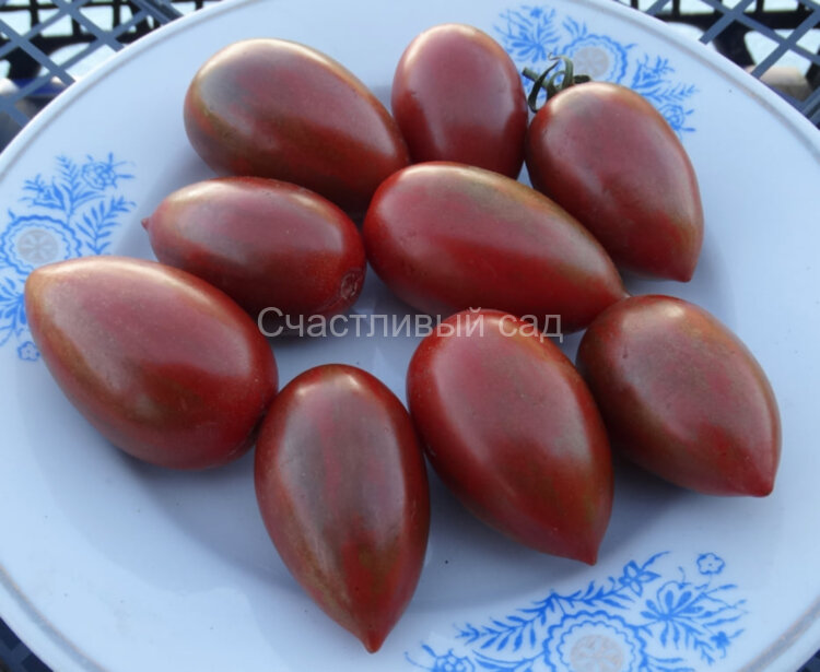 Монисто шоколадное