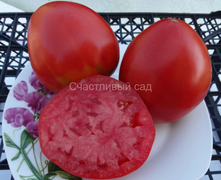 Kukla’s Portuguese Heart (Португальское сердце Куклы) Kukla’s Portuguese Heart (Португальское сердце Куклы)