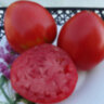 Kukla’s Portuguese Heart (Португальское сердце Куклы) Kukla’s Portuguese Heart (Португальское сердце Куклы)