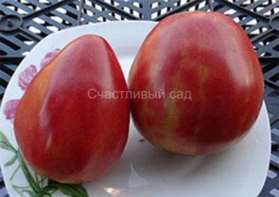 Сердце Вольдемара 