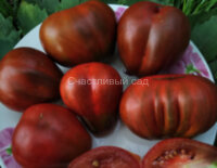 Сникерс