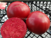 Heatherington Pink