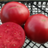 Heatherington Pink Heatherington Pink