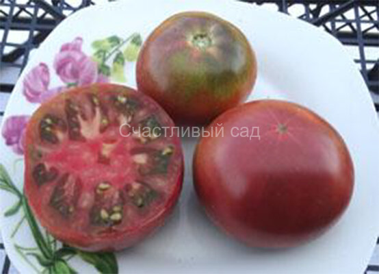 Dwarf Wild Spudleaf (Гном дикий картофельный лист)