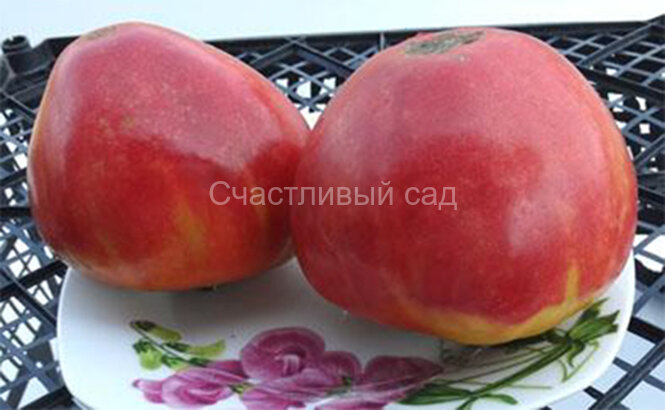 Бычий мёд 