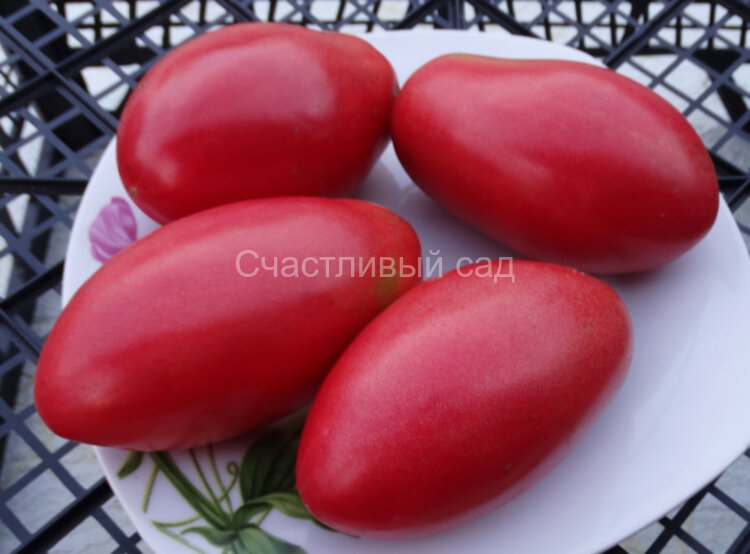 Марта