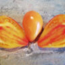 Сердце Милы (Mila’s heart) Сердце Милы (Mila’s heart)