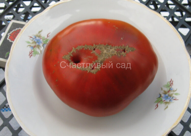 Черный мамонт