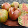 Pineapple zebra (Ананасная зебра)