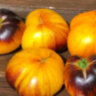 Purple Sunrise (Purpura Rits, Пурпурный Восход) Purple Sunrise (Purpura Rits, Пурпурный Восход)