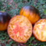 Purple Sunrise (Purpura Rits, Пурпурный Восход) Purple Sunrise (Purpura Rits, Пурпурный Восход)