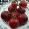 Полночь (Midnight)