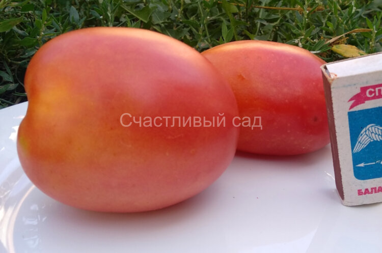 Солдатово