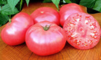 Strawberry Lemonade Dwarf (Гном Клубничный Лимонад)