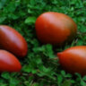 Dwarf Almandine (Гном Алмандин) Dwarf Almandine (Гном Алмандин)
