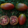 Dwarf Almandine (Гном Алмандин) Dwarf Almandine (Гном Алмандин)