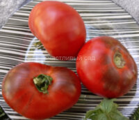 Chupa Chups red (Чупа Чупс красный)