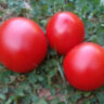 Clare Valley Red (Гном Красная Долина Клэр)
