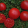 Clare Valley Red (Гном Красная Долина Клэр)