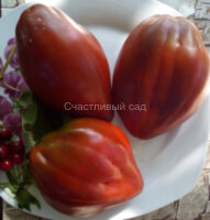 Черный перец (Black Pepper)