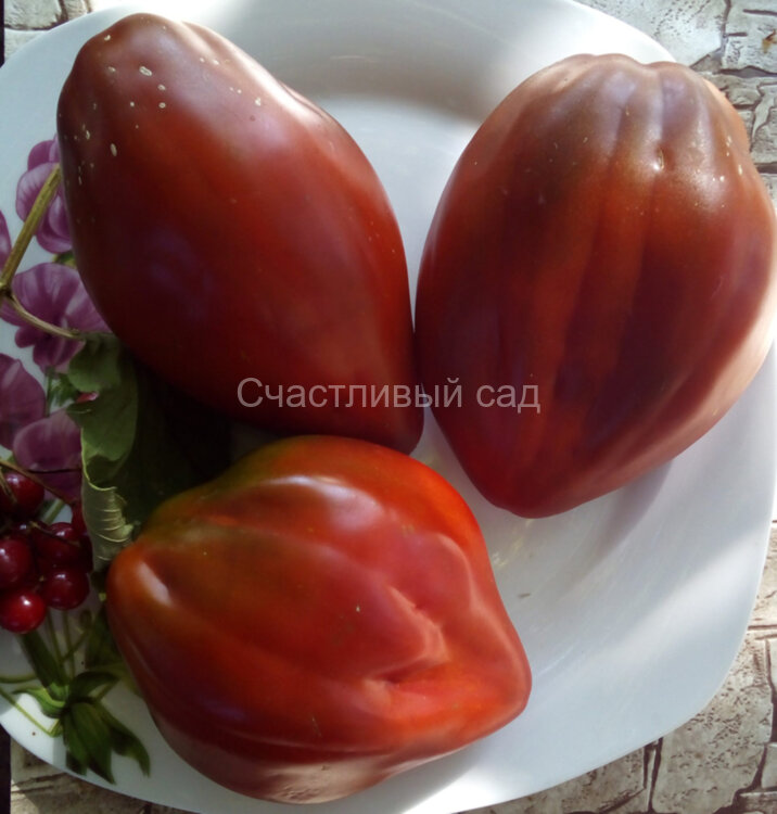 Черный перец (Black Pepper)