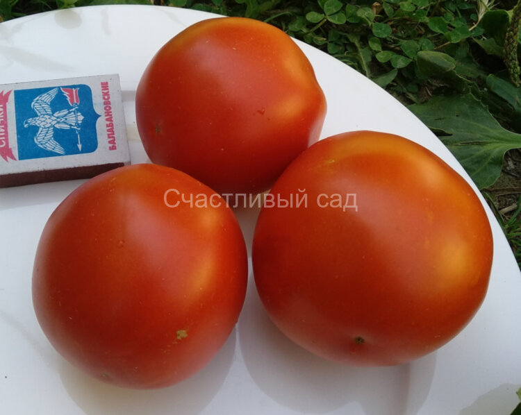 Фермерский
