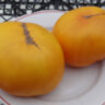 Sean’s Yellow Dwarf (Желтый Гном Шона)