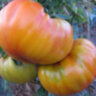 Гавайский ананас (Hawaiian Pineapple) Гавайский ананас (Hawaiian Pineapple)