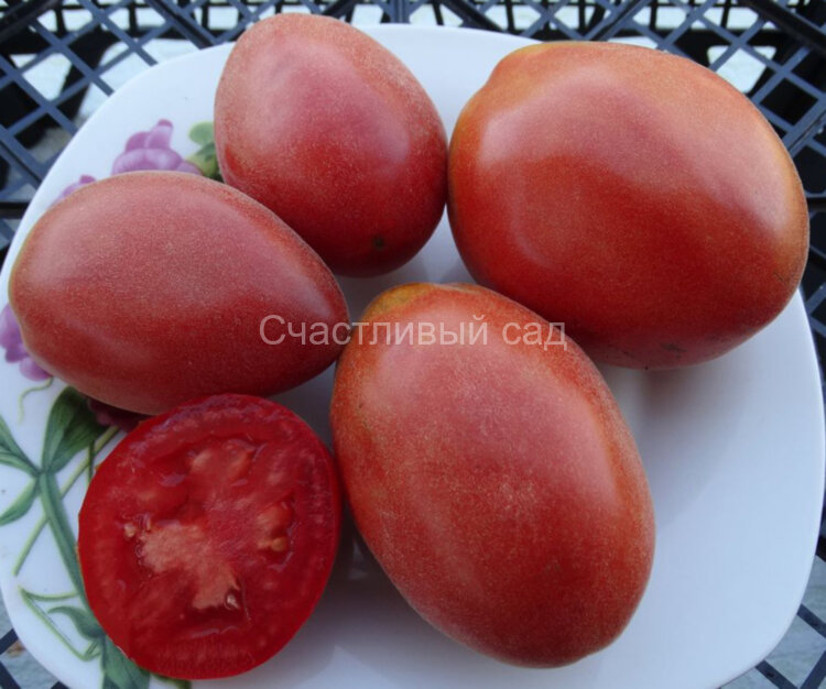 Мохнатый шмель 